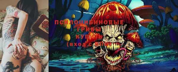 экстази Арсеньев