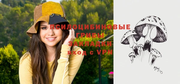 ALPHA PVP Киреевск
