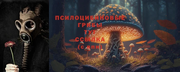 apvp Зеленодольск